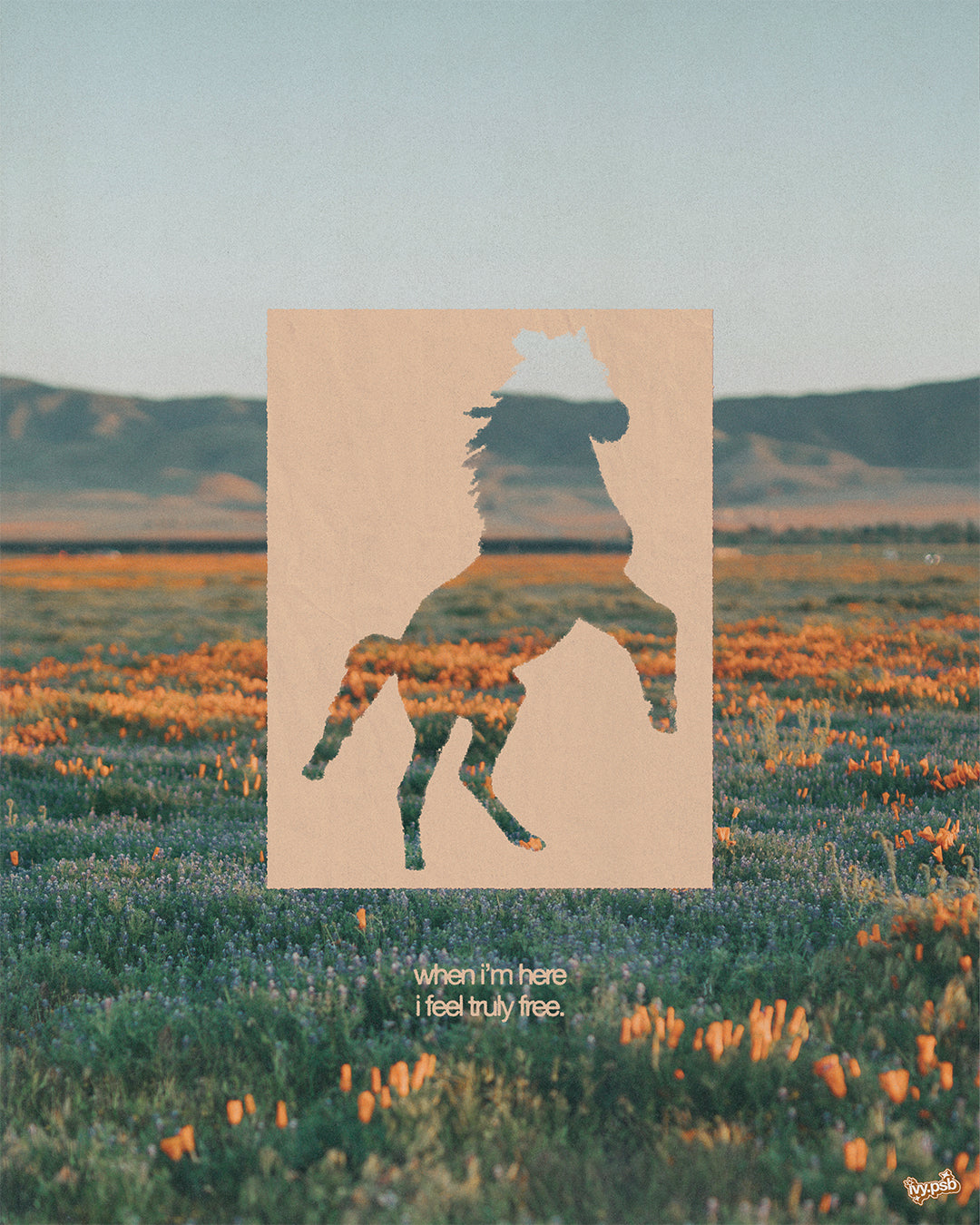 "BR008 - HORSE" - Print